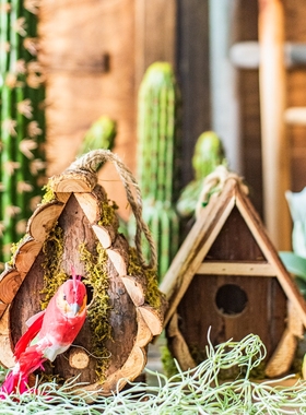 J慕空间  天然木制小鸟木屋鸟屋 园树木装饰挂件阳台氛围挂饰