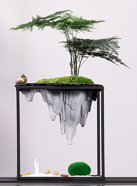 新客厅绿植办公室文竹盆景假山酒柜装饰摆设