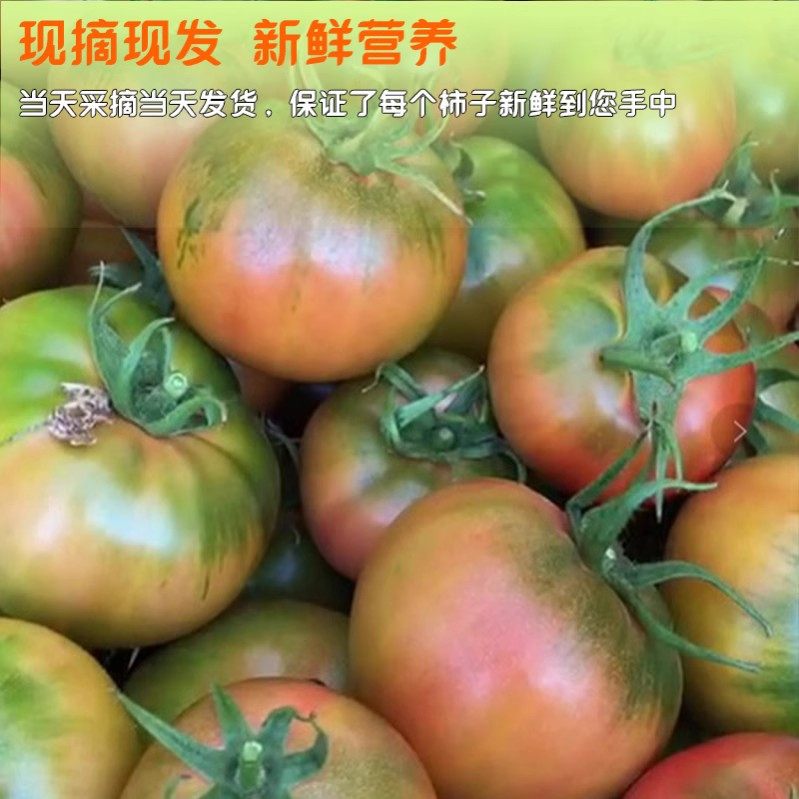顺丰丹东铁皮草莓柿子盘锦碱地即食新鲜自然熟绿腚番茄水果西红柿,淘宝优惠券,粉丝福利购,淘宝优惠卷