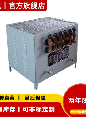 电阻负载箱BP300A额定电流300A调节范围15-300