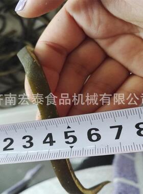304不锈钢滚刀切条机海带切条机海茸海笋切丝机切海带丝机
