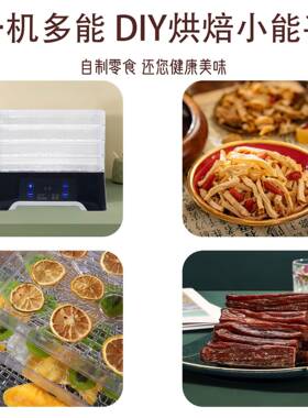 小型干果机4层电子可定时家用蔬菜水果宠物肉类风干机食物脱水机