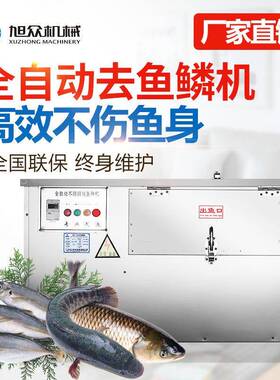 不锈钢去鱼鳞机全自动商用刮鱼鳞机市场超市电动去鱼鳞机厂家直销