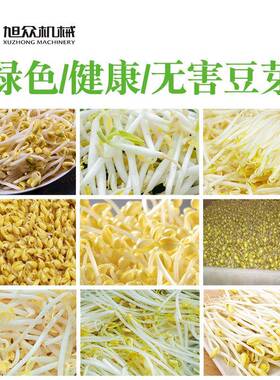 厂家直销全自动箱式豆芽机商用定时发豆芽机健康食品节能