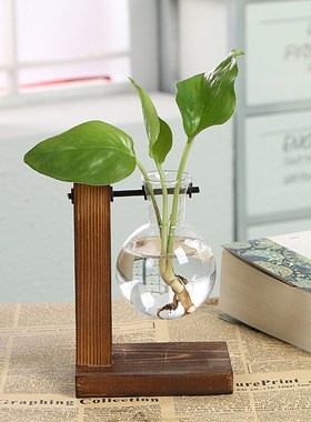创意瓶瓶木架水培瓶绿萝瓶装饰品