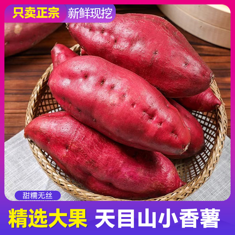 板栗口感大规格小香薯临安新鲜黄心老品种红薯山芋天目烤地瓜熬粥