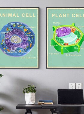 动细胞结构解剖图挂画生物学教室实验室办公室布置装饰画