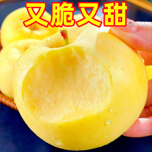 山东烟台黄金奶油富士新鲜9斤应当季水果脆甜冰糖心奶油苹果整箱 - 图3