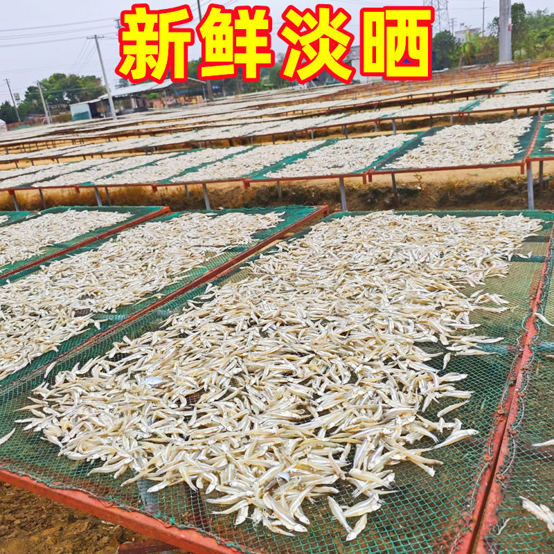 广西北海淡晒海燕鱼干500g淡干小鱼干海鲜干货银鱼干小咸鱼干鱼仔,淘宝优惠券,粉丝福利购,淘宝优惠卷