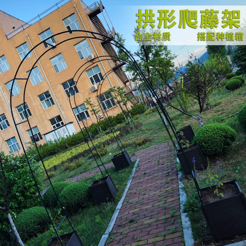 园艺 爬藤支架 鲜花铁艺拱门花架 丝瓜黄瓜番茄 拱形大棚 - 图2