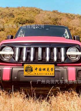 坦克300中网带灯流光转向发光车标装饰灯挑战者中网外观改装配件