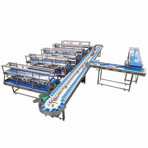 海鲜鱼类重量分选机全自动鱿鱼称重分级机食品级水产高精度,淘宝优惠券,粉丝福利购,淘宝优惠卷