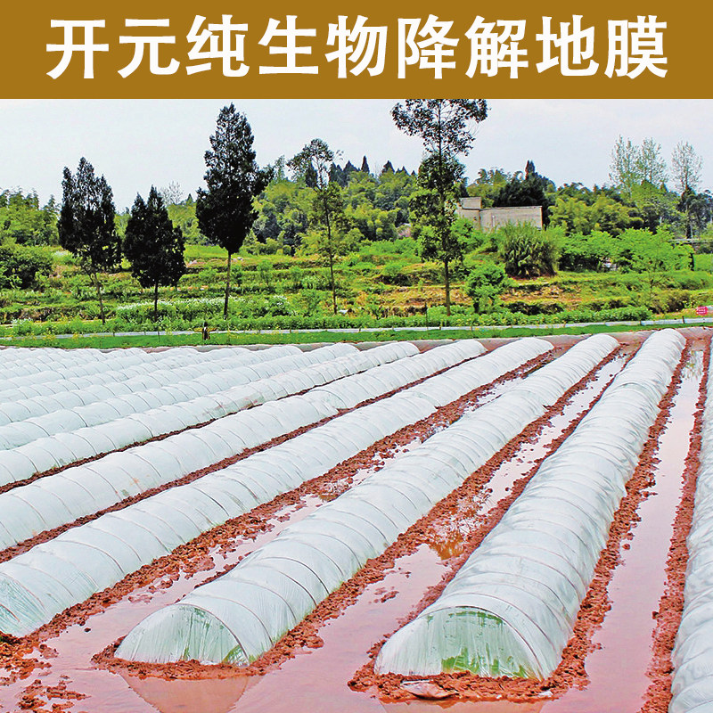 全生物降解薄膜农用育苗白膜黑膜防寒保温地膜加厚降解农膜,淘宝优惠券,粉丝福利购,淘宝优惠卷
