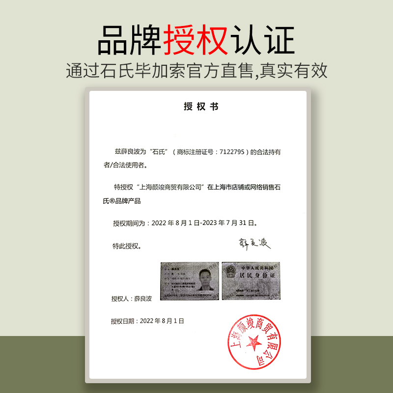 石氏毕加索羊毛水粉笔套装猪鬃油画笔鱼尾色彩笔颜料笔丙烯画笔专 - 图3