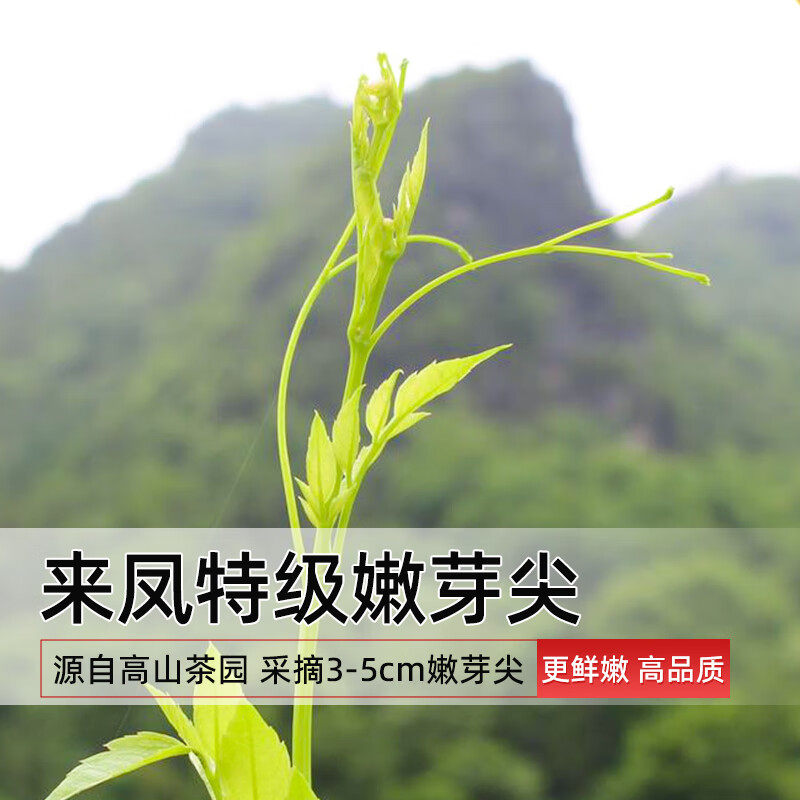 恩施来凤藤茶官方旗舰店张家界特级芽尖莓茶湖北特产土家硒都茶叶,淘宝优惠券,粉丝福利购,淘宝优惠卷