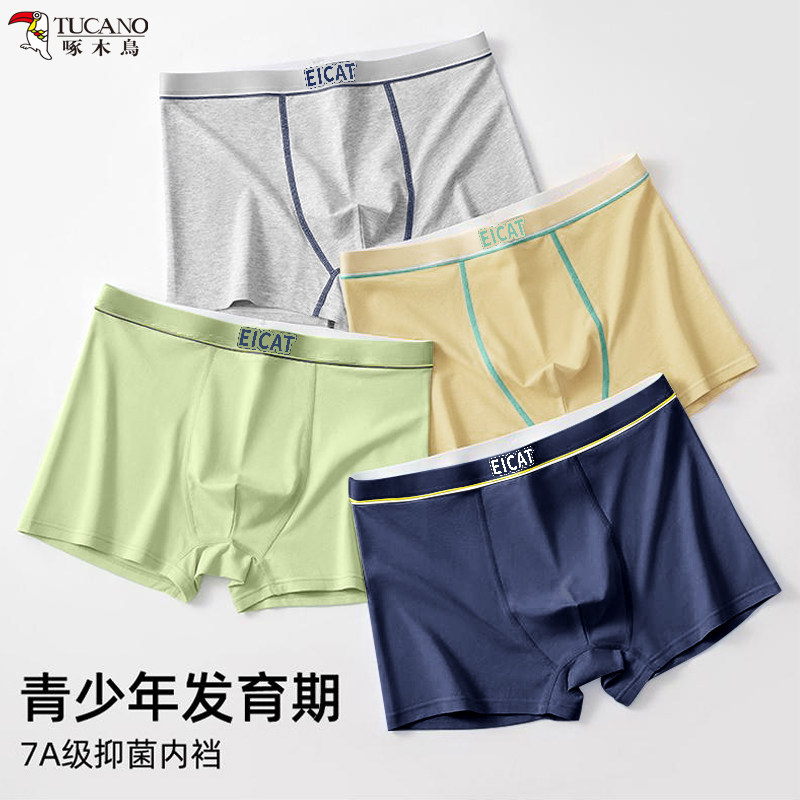 图 3