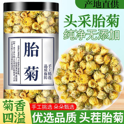 医春谷胎菊王罐装干货桐乡正宗胎菊非特级新货无硫杭白菊花茶泡水