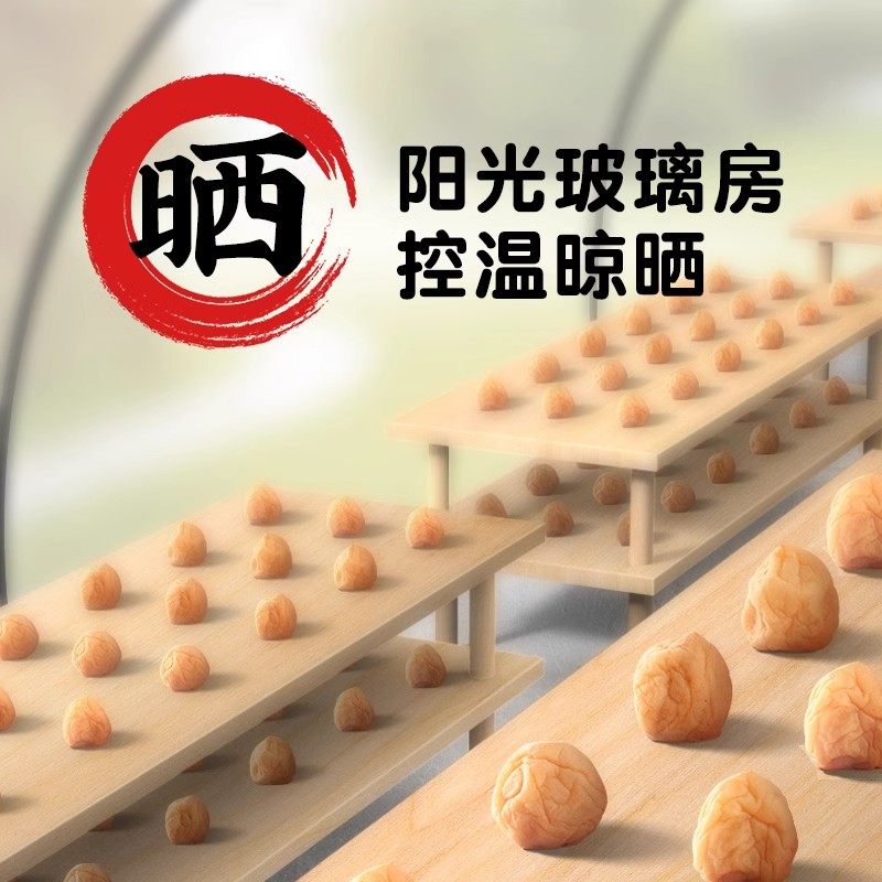 九制话梅肉零食泡水盐津甘甜咸酸酸梅干九制甜青梅果脯小包装,淘宝优惠券,粉丝福利购,淘宝优惠卷