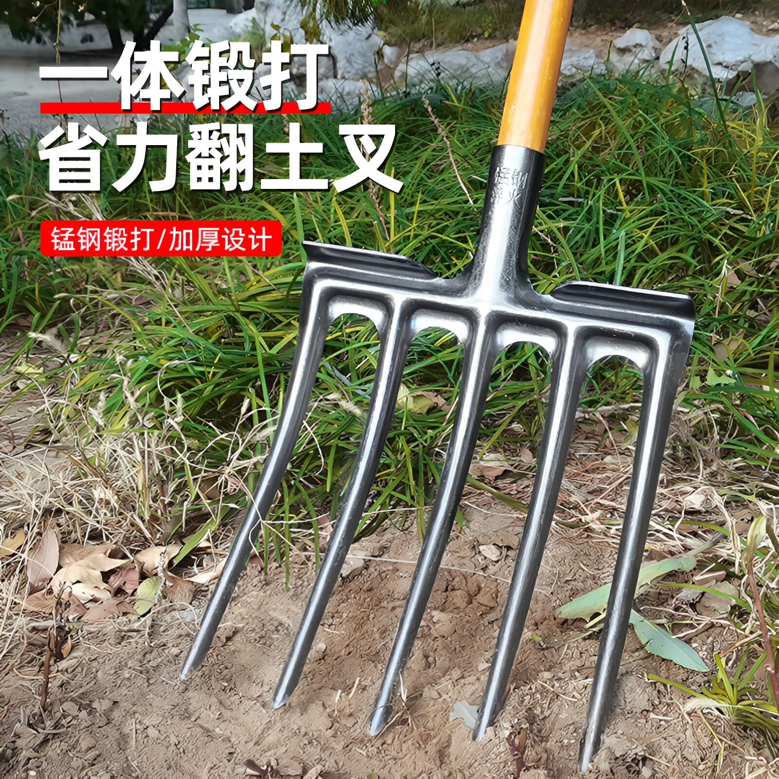图5