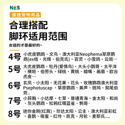 小太阳鹦鹉外出牵引绳放飞溜鸟绳不伤脚虎皮牡丹玄凤和尚专用神器 - 图3