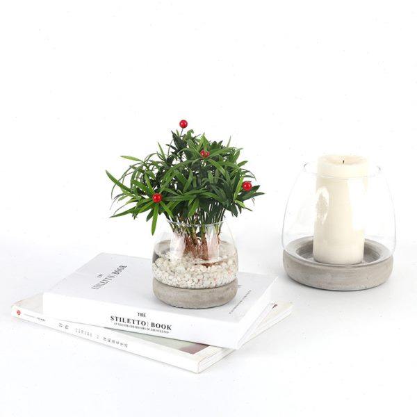 新款创意水培玻璃圆形花瓶水泥底混搭草菇型水培植物透明花器鱼缸,淘宝优惠券,粉丝福利购,淘宝优惠卷