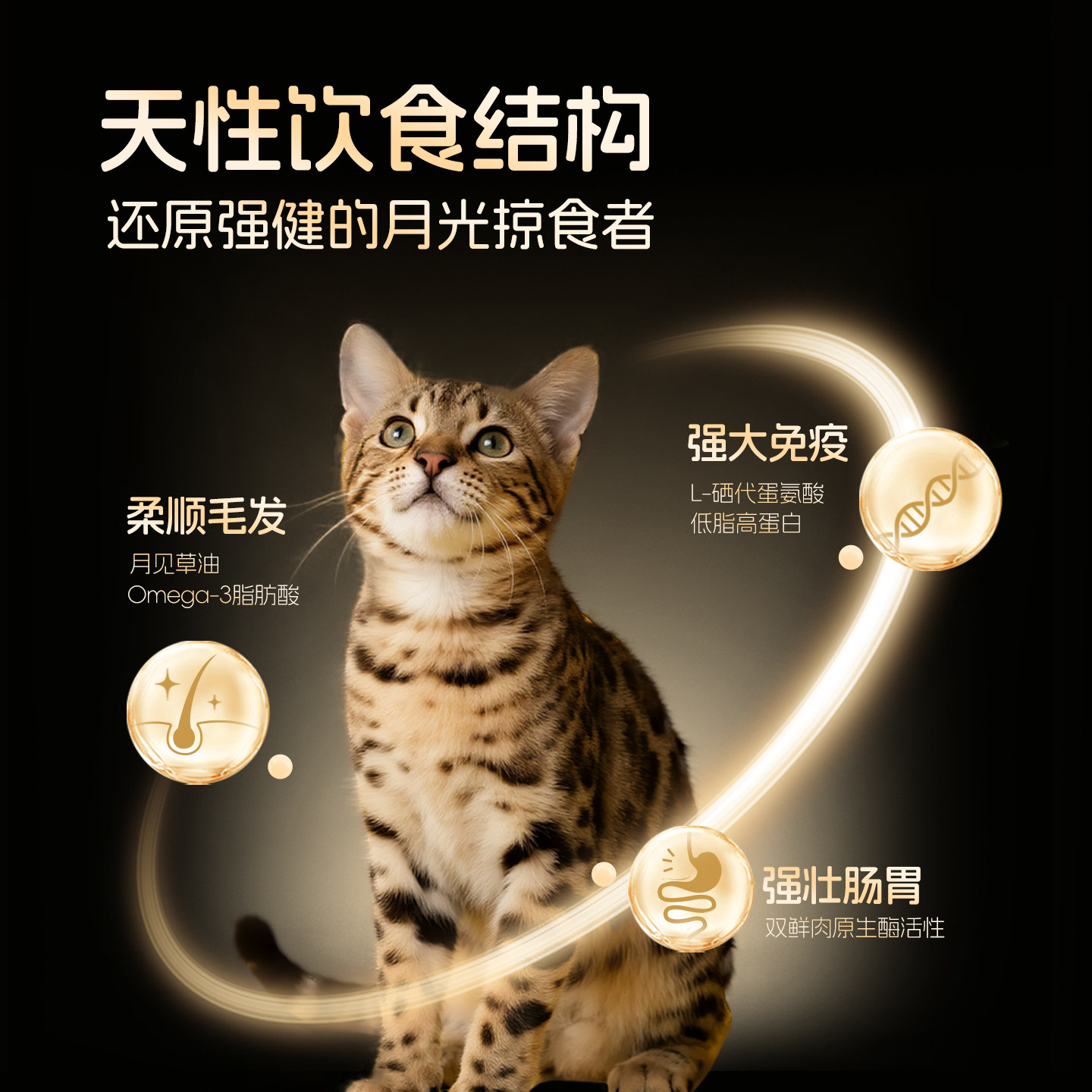 高鲜生低温烘焙猫粮无谷成猫幼猫专用全价鸡肉鹅肉兔肉冻干猫粮,淘宝优惠券,粉丝福利购,淘宝优惠卷