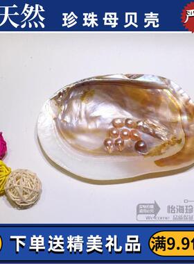 珍珠贝 珍珠蚌壳 天然珍珠海螺贝壳珊瑚海星收藏水族贝壳画摆件