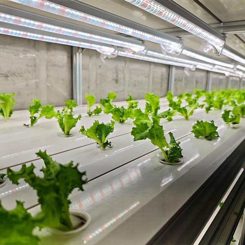 定制叶菜水培及菌种培养两用集装箱智能种植方仓特种养殖设备,淘宝优惠券,粉丝福利购,淘宝优惠卷