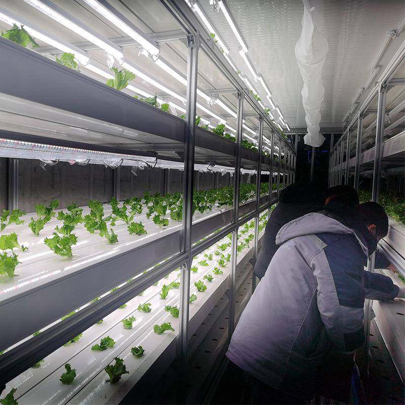 定制叶菜水培及菌种培养两用集装箱智能种植方仓特种养殖设备,淘宝优惠券,粉丝福利购,淘宝优惠卷