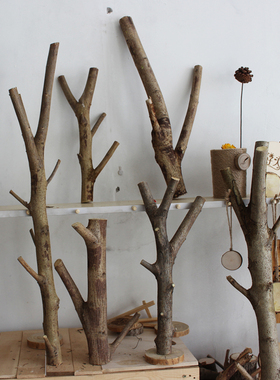 网红树枝DIY台灯装饰材料 小树杈带底座 干树枝 网店拍图摄影道具