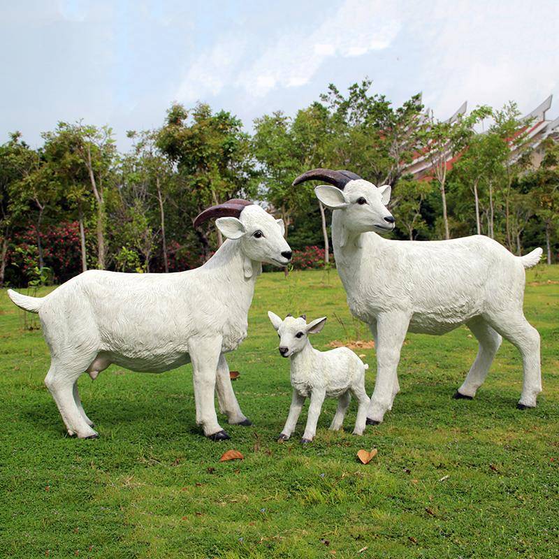 新室外玻璃钢仿真山羊假动物模型园区景观草地绵羊工艺品装饰摆件 - 图2