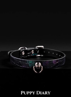 糖衣炮弹变色龙真皮项圈