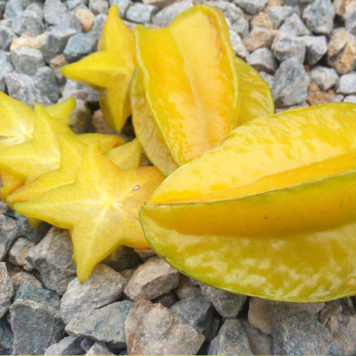 【学姐直播】甜杨桃新鲜水果顺丰可选当季洋桃红扬桃五角星阳桃 - 图0