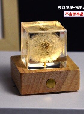 浪漫520礼物鲜花树脂冰封摆件送D女生女朋友闺蜜生日节日精美礼品