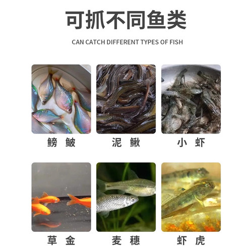儿童户外塑料捉鱼瓶抓鱼神器倒须瓶蟹笼水库捕鱼工具虾鱼网捉鱼笼 - 图1