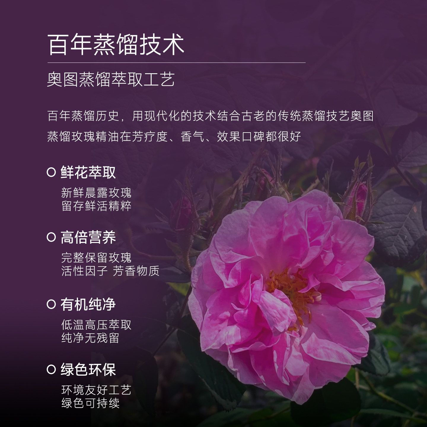 Aibest大马士革玫瑰精油胶囊口服玫瑰精油葡萄籽虾青素白番茄,淘宝优惠券,粉丝福利购,淘宝优惠卷