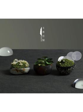 天青苔绿 玛瑙永生苔藓花艺青苔摆件 定制样板间酒店会所客厅饰品