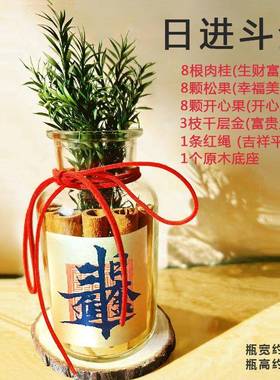 肉桂生财摆件开业招财摆件发财瓶装饰布置新年客厅新房子乔迁之喜