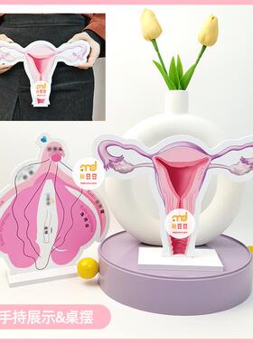 私密房间美容院产康展示立牌疗愈元素桌面装饰摆饰小花园毛发管理