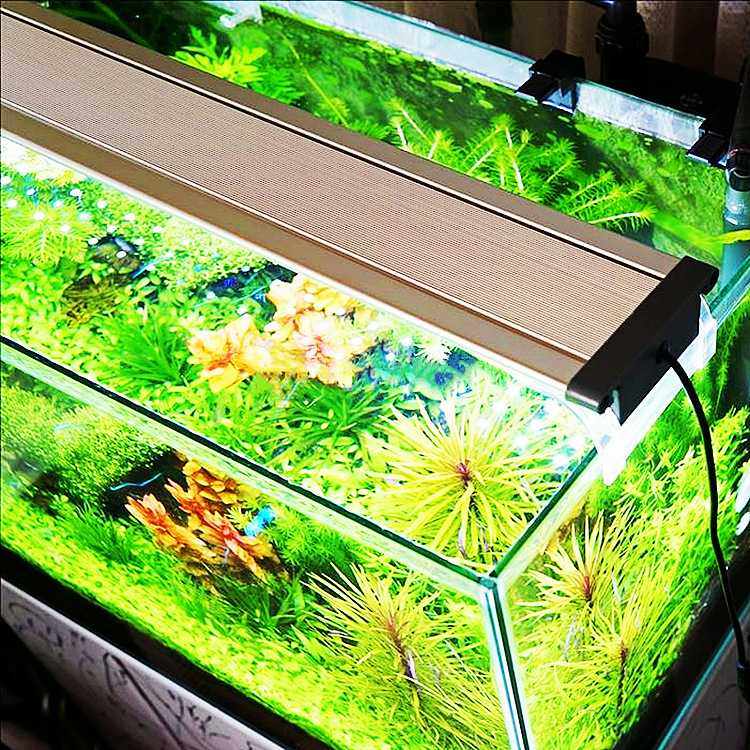 RGB水族灯珠led水族灯 鱼缸灯 5730rgb灯珠 水草灯珠 可以定颜色,淘宝优惠券,粉丝福利购,淘宝优惠卷