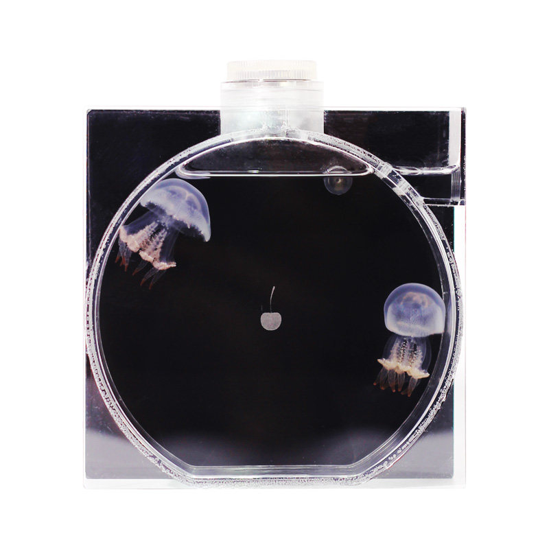 SmartF迷你桌面水母缸鱼缸生态发光水母瓶七彩遥控变色儿童节礼品,淘宝优惠券,粉丝福利购,淘宝优惠卷