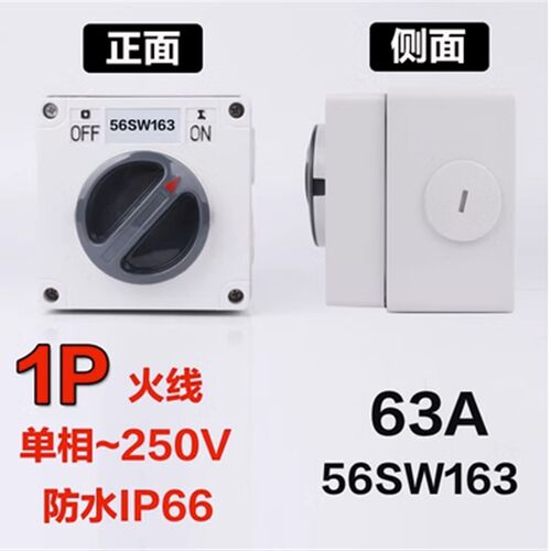 澳标防水开关56SW110/320隔离户外1P2P3P4P5P 10A20A32A40A50A63A - 图1