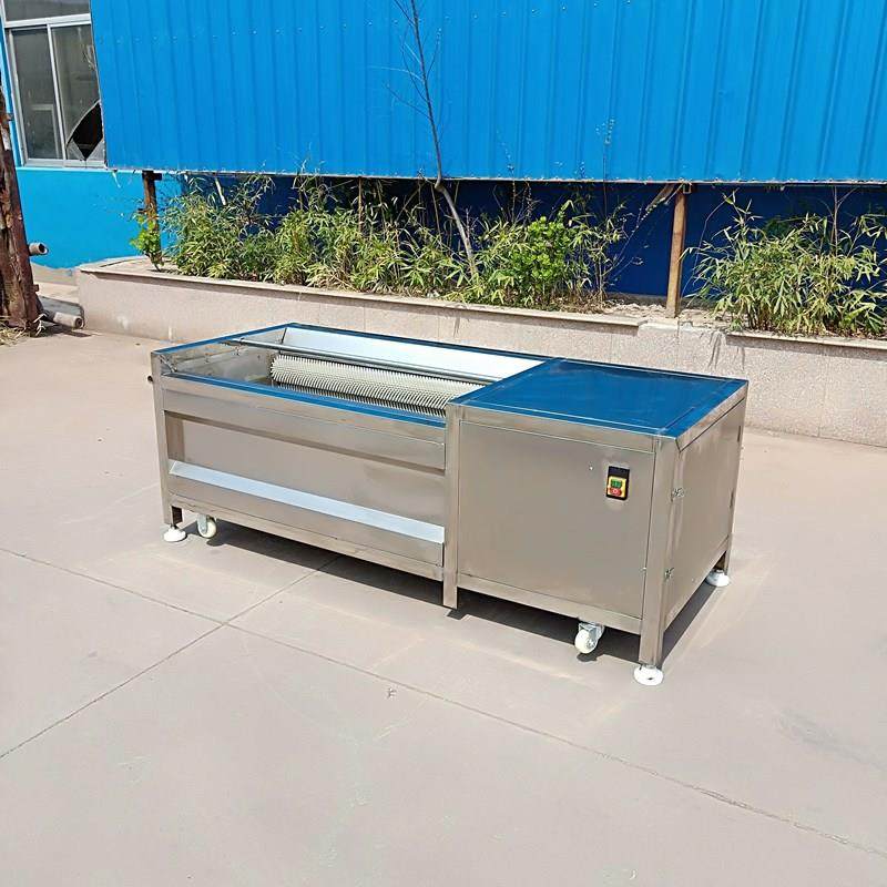 商用土豆莲藕去皮机海蛎子扇贝毛辊清洗机去泥设备猪蹄自动清洗机,淘宝优惠券,粉丝福利购,淘宝优惠卷