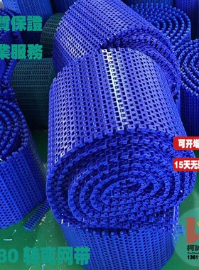 1280塑料输送网带网链转弯传输链板网链节距2540专用转弯传送网链