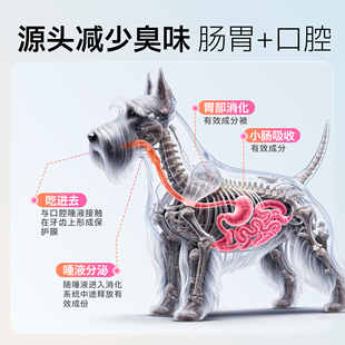 芮芽纪洁牙粉除口臭软化牙结石狗狗洁齿神器