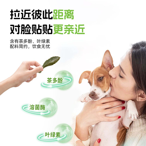 Dentalight树叶骨狗狗耐咬洁齿骨中小型犬磨牙棒刷牙零食 - 图1