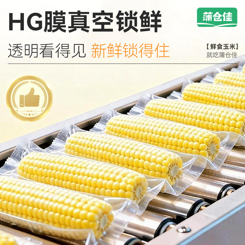 黄糯玉米新鲜大根粘糯东北苞米低脂代餐早餐真空包装240g/根