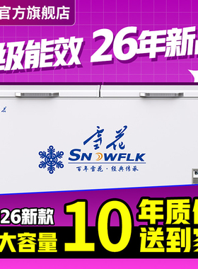 【70年国企雪花】大容量商用冰柜
