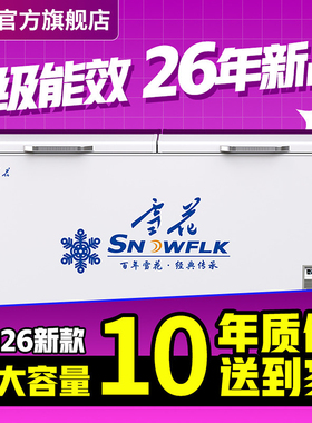 【国企旗舰店】冰柜商用冷冻柜