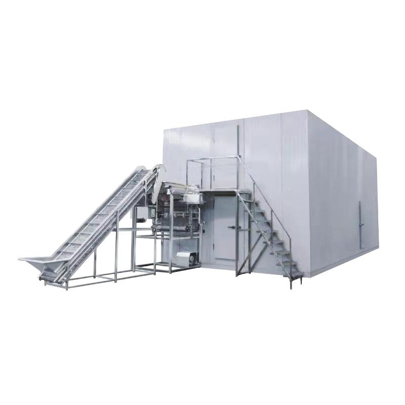 连续式流态化速冻机玉米粒毛豆仁青豌豆青刀豆草莓芒果单体冻结机 - 图3